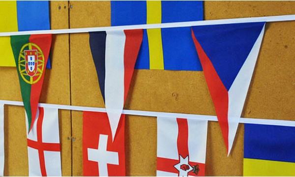 France Triangle Bunting